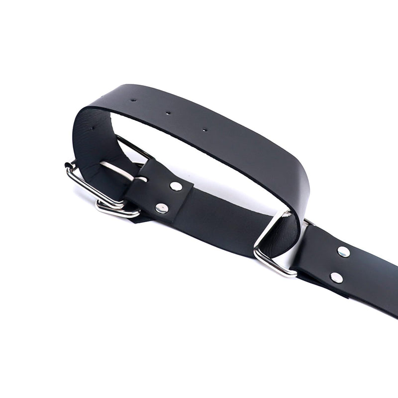 Black Leather Arm and Hand Restraint Harness Set