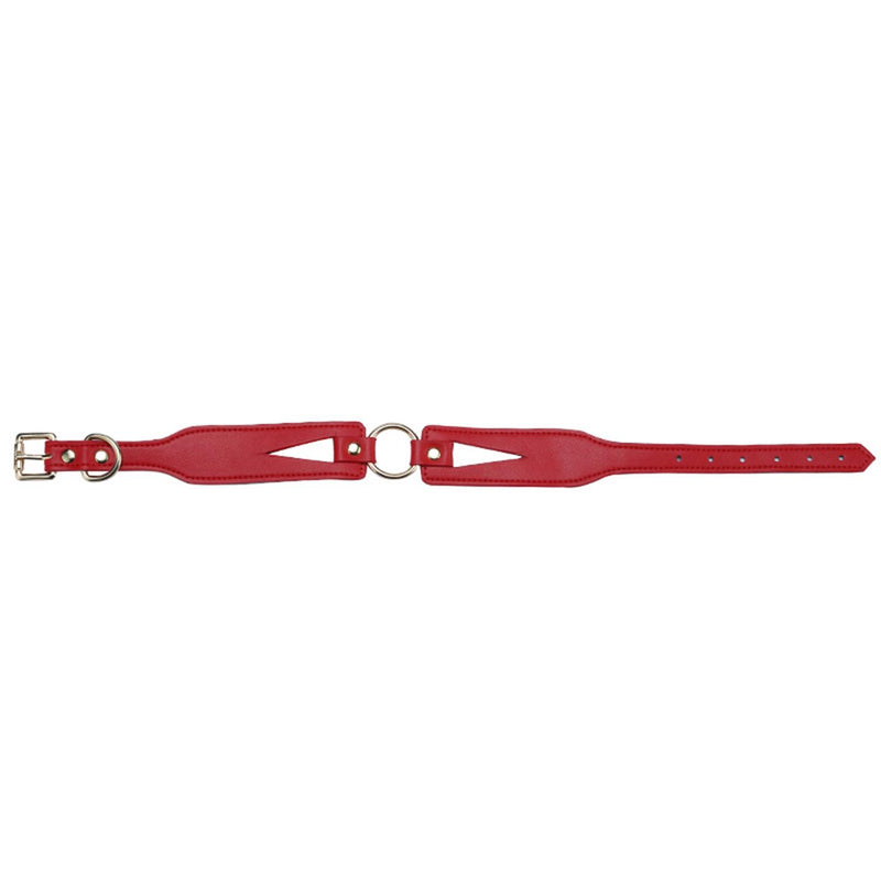 Fantasy Collar with Chain Leash Red